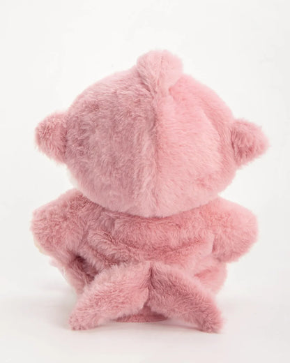 Pofuduk Pembe Köpekbalığı Teddy