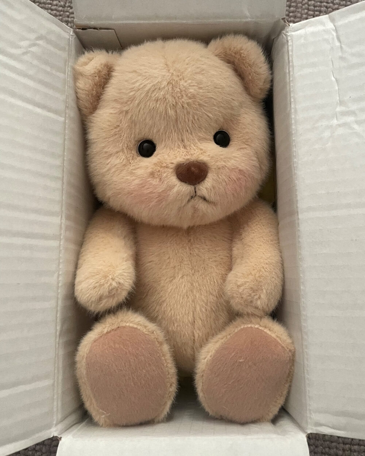 Kostümsüz Bej Teddy